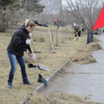 Жителей региона приглашают на весенние субботники