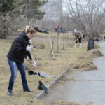В регионе приступают к субботникам