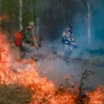 135 административных дел возбуждено в Новосибирской области