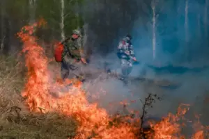 135 административных дел возбуждено в Новосибирской области