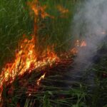 На всей территории Новосибирской области установлен особый противопожарный режим