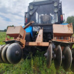 В регионе проведут агротехнический уход за лесными культурами