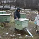 Жители региона изменили свою жизнь благодаря соцконтракту
