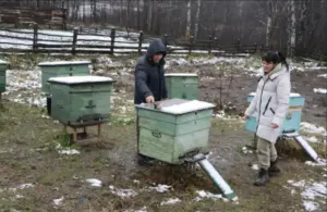 Жители региона изменили свою жизнь благодаря соцконтракту