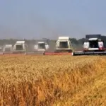 Новосибирская область вошла в топ-10 экспортеров продукции АПК
