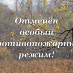 Пожароопасный сезон 2026 года в Новосибирской области официально закрыт