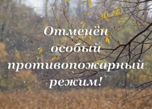 Пожароопасный сезон 2026 года в Новосибирской области официально закрыт