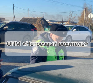 Госавтоинспекция в Здвинске провела оперативно-профилактическое мероприятие
